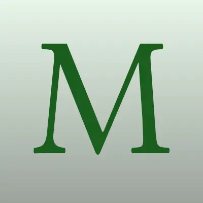 Многопрофильный магазин, ИП Соловьев М.С., лого-визитка